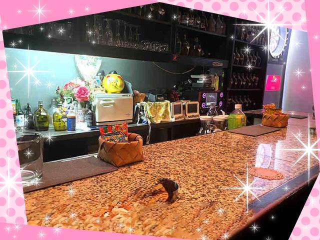 2個セット 置くだけT字仕切腰壁 飲食店 スナック キャバクラ等に SNACK TK BAR(スナック ティーケー バー)の店舗情報！ - 割引クーポン