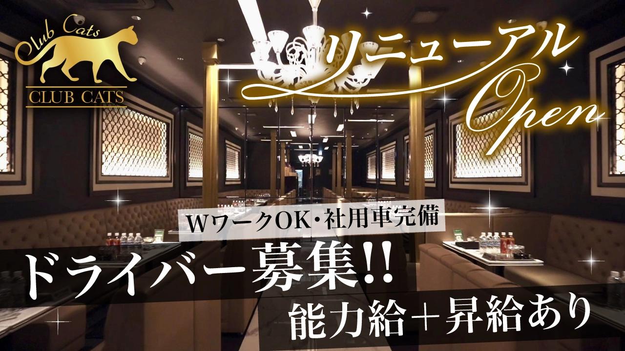 ドライバー募集！空いた時間を有効活用してお小遣い稼ぎ♪未経験でも始めやすい簡単なお仕事★