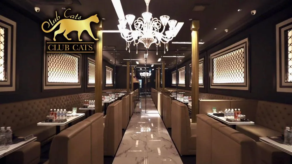 CLUB CATS 泉佐野 本店(クラブ キャッツ いずみさの ほんてん)